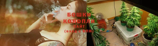 трава Магас