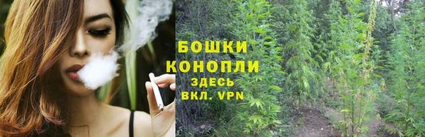 Альфа ПВП Вяземский