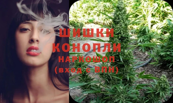 Альфа ПВП Вяземский