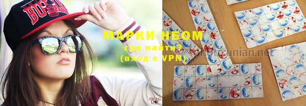 крисы Вязьма