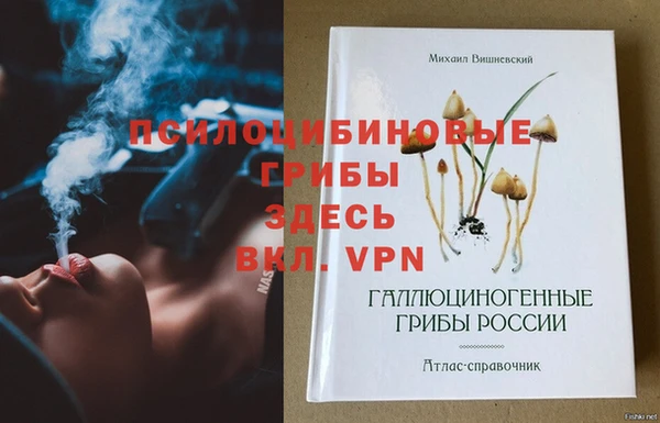 Альфа ПВП Вяземский